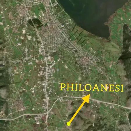 Philoanesi Appartement Neokesaria Buitenkant foto